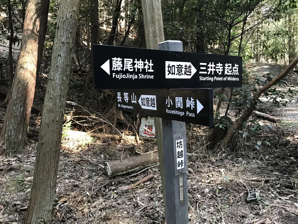 画像8