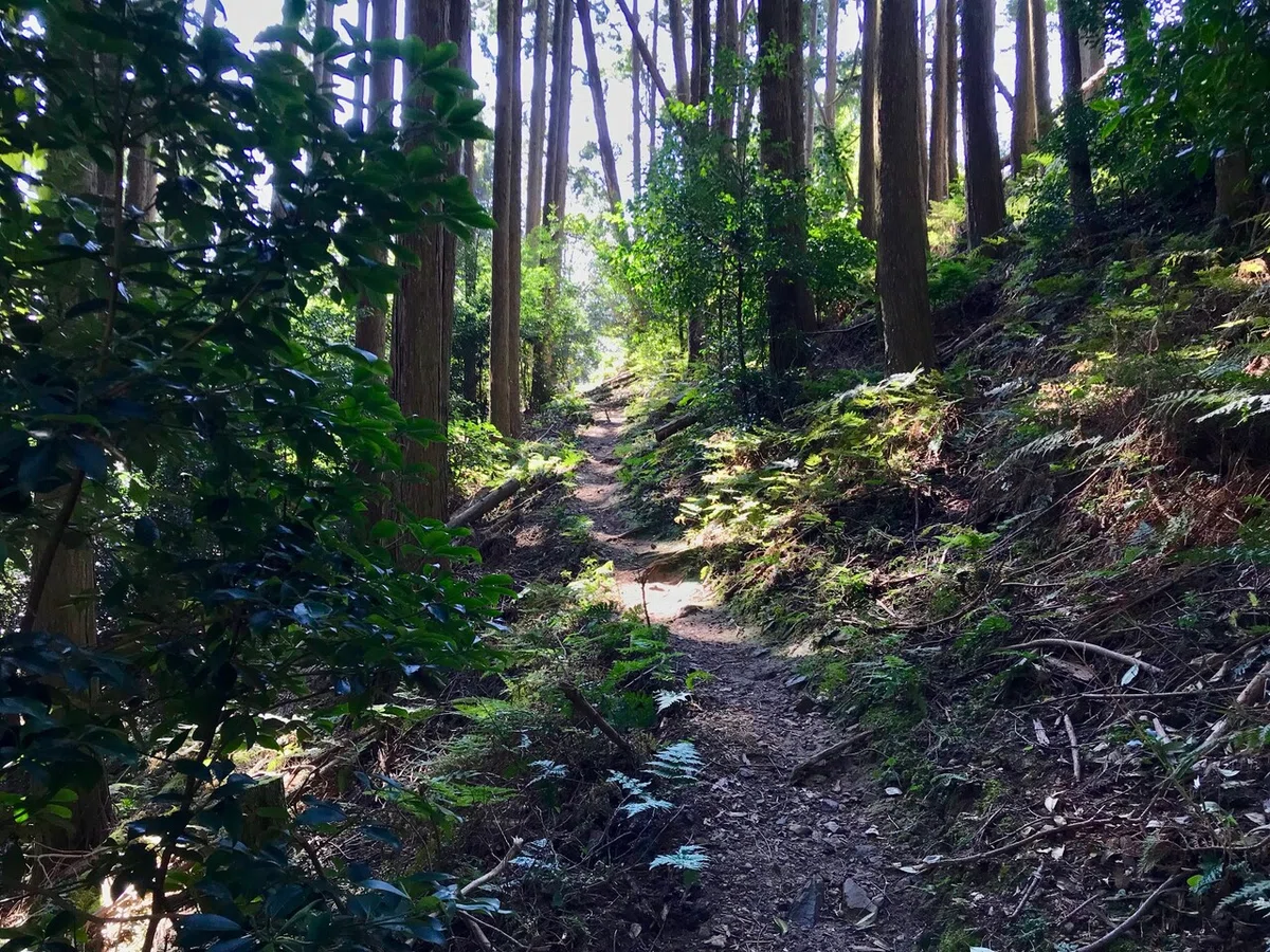 画像10