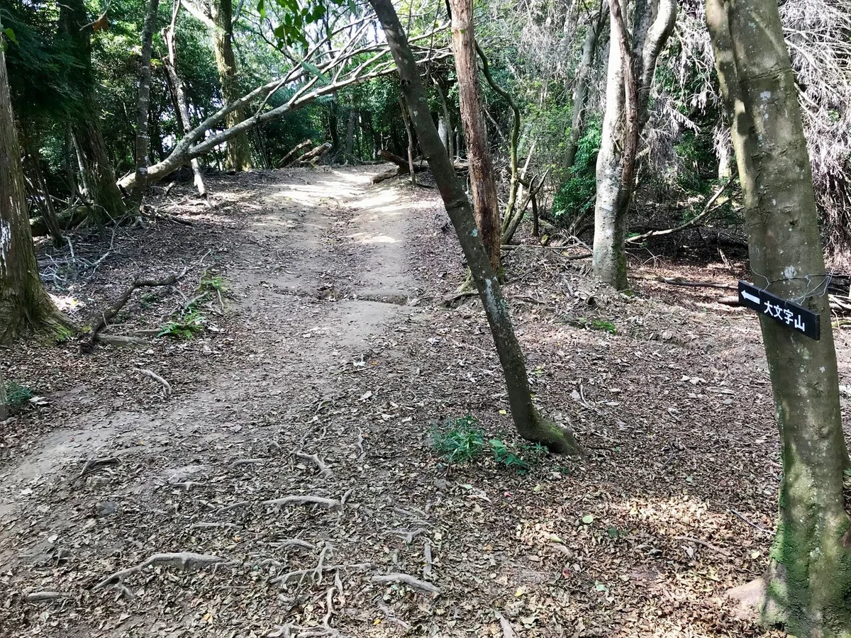 画像13