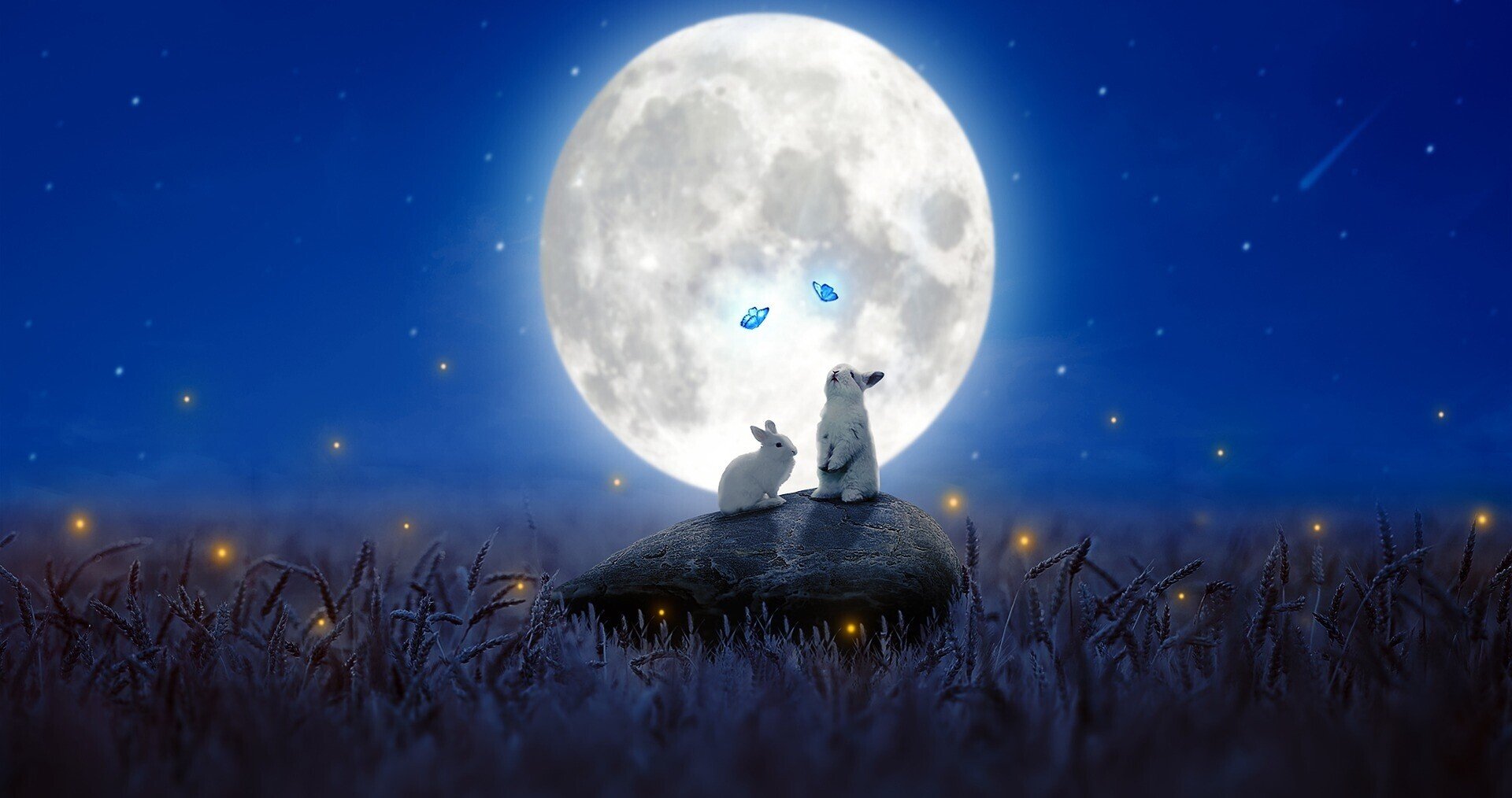 うさねこ16様専用❀風雲7龍様❀新月月祈り さり気