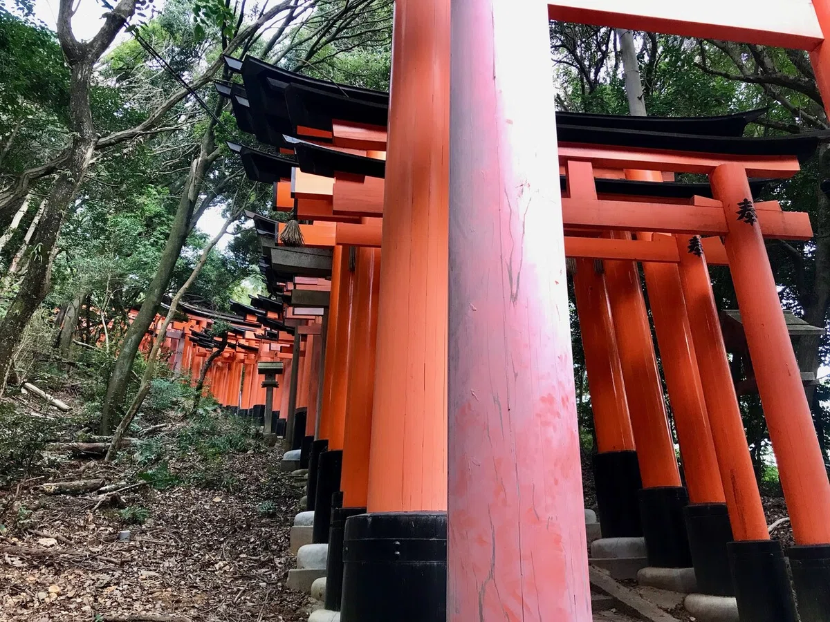 画像18