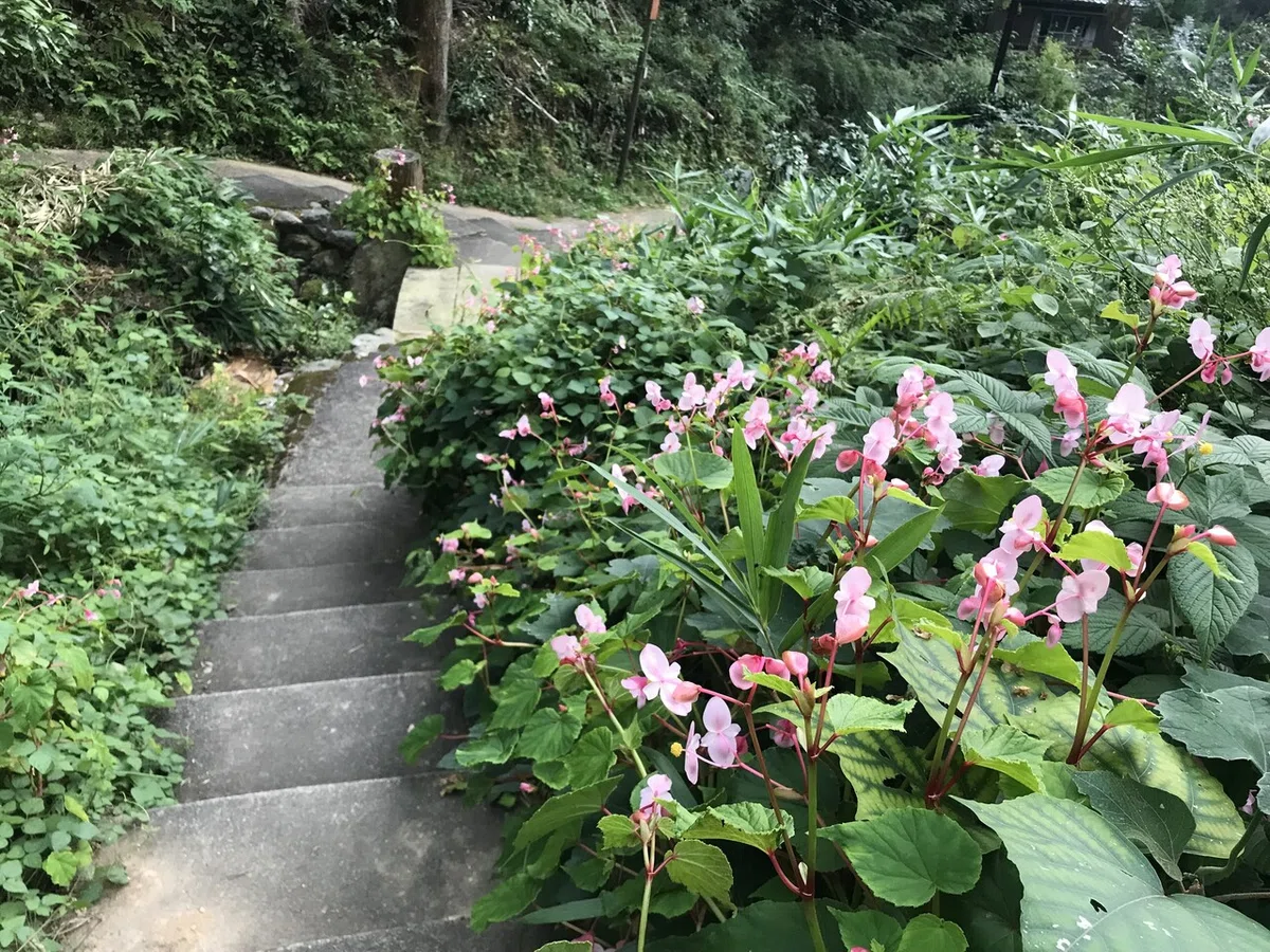 画像20
