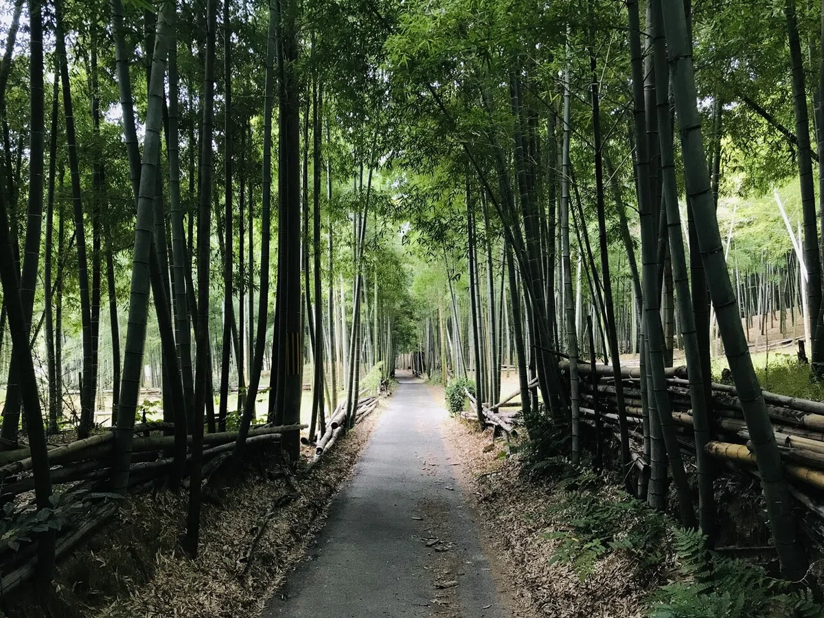 画像21