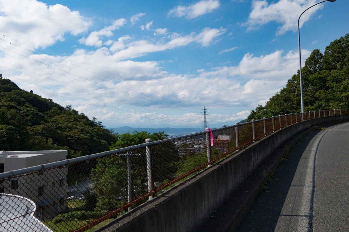 画像7