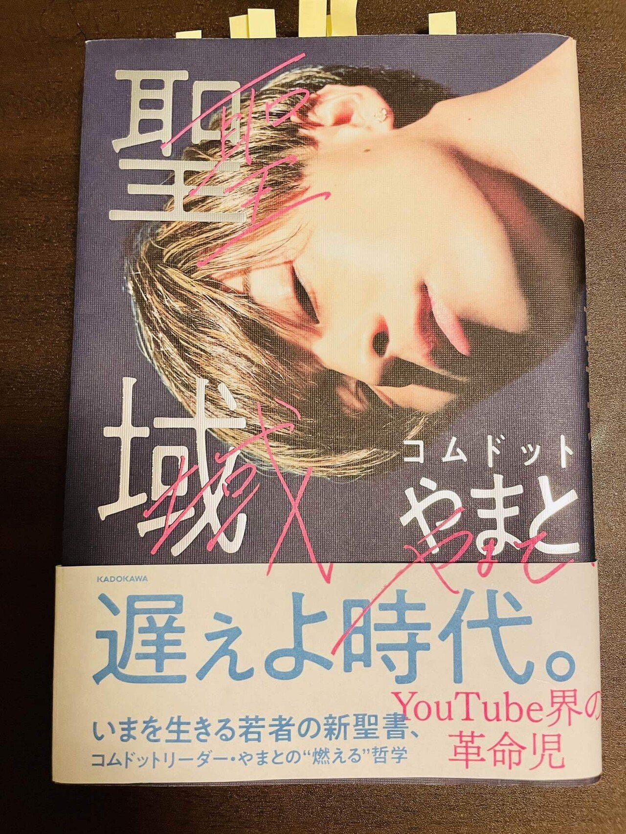 編集者×キャリコン視点から見た、著者デビュー作限定書評#1 『聖域