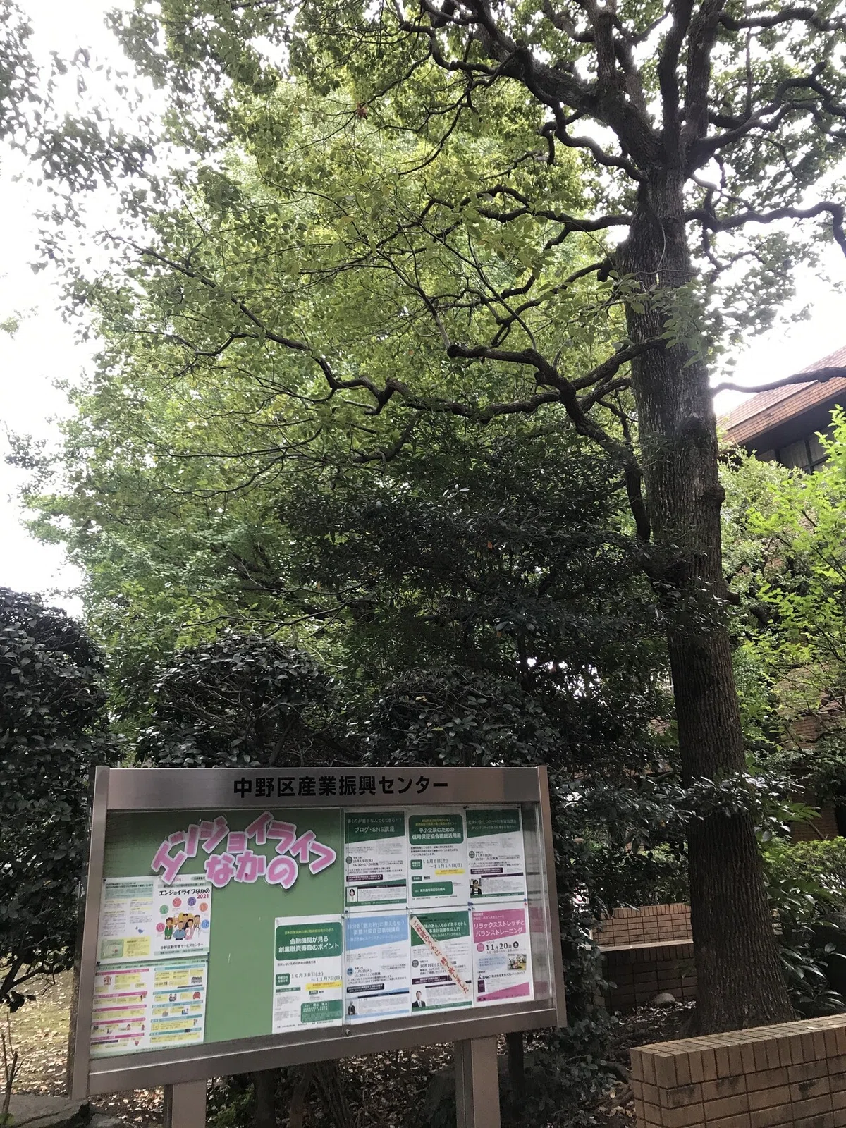 画像5