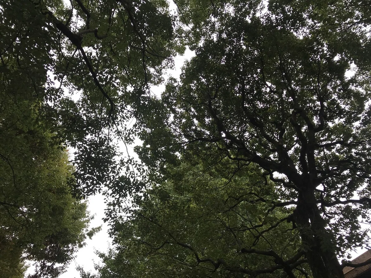 画像6
