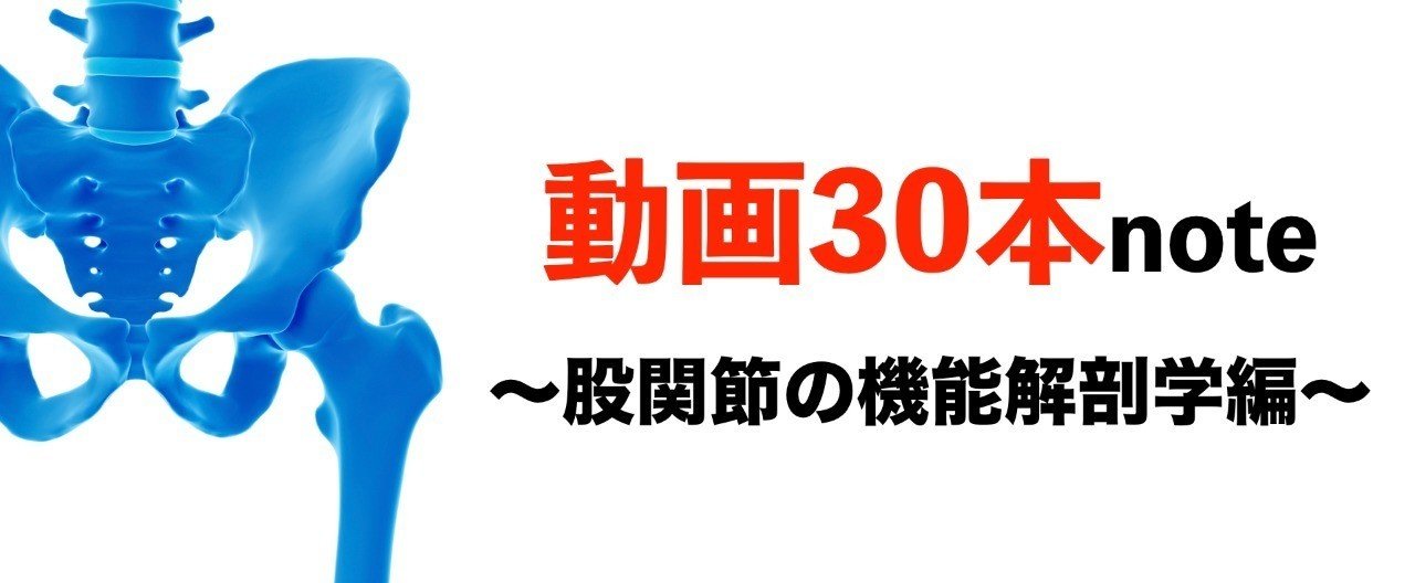 動画30本note 股関節の機能解剖学編 薬師寺 偲 Shinobu Yakushiji Note 動画30本note 股関節の機能解剖学編 薬師寺 偲 Shinobu Yakushiji Note