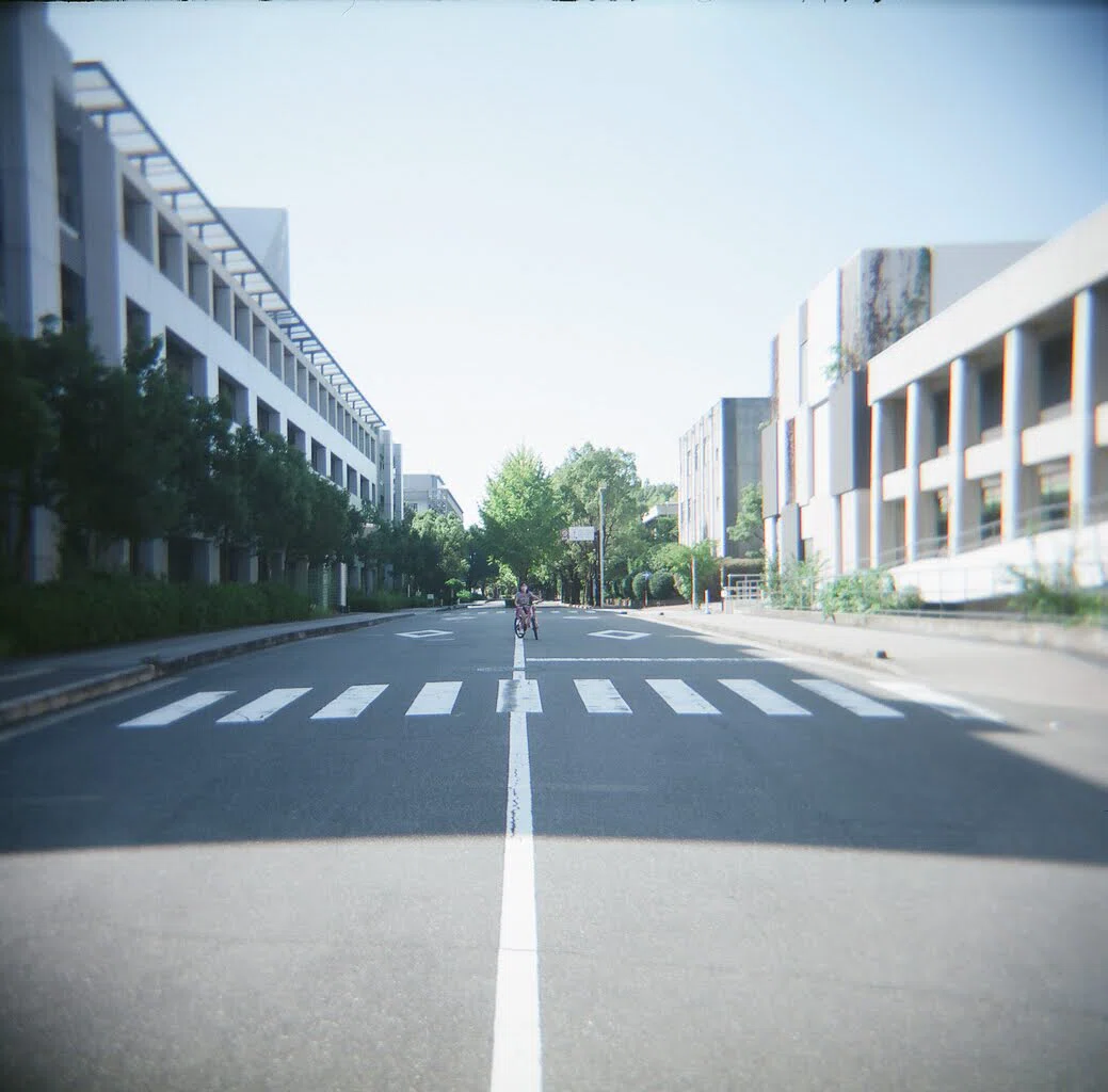 画像5