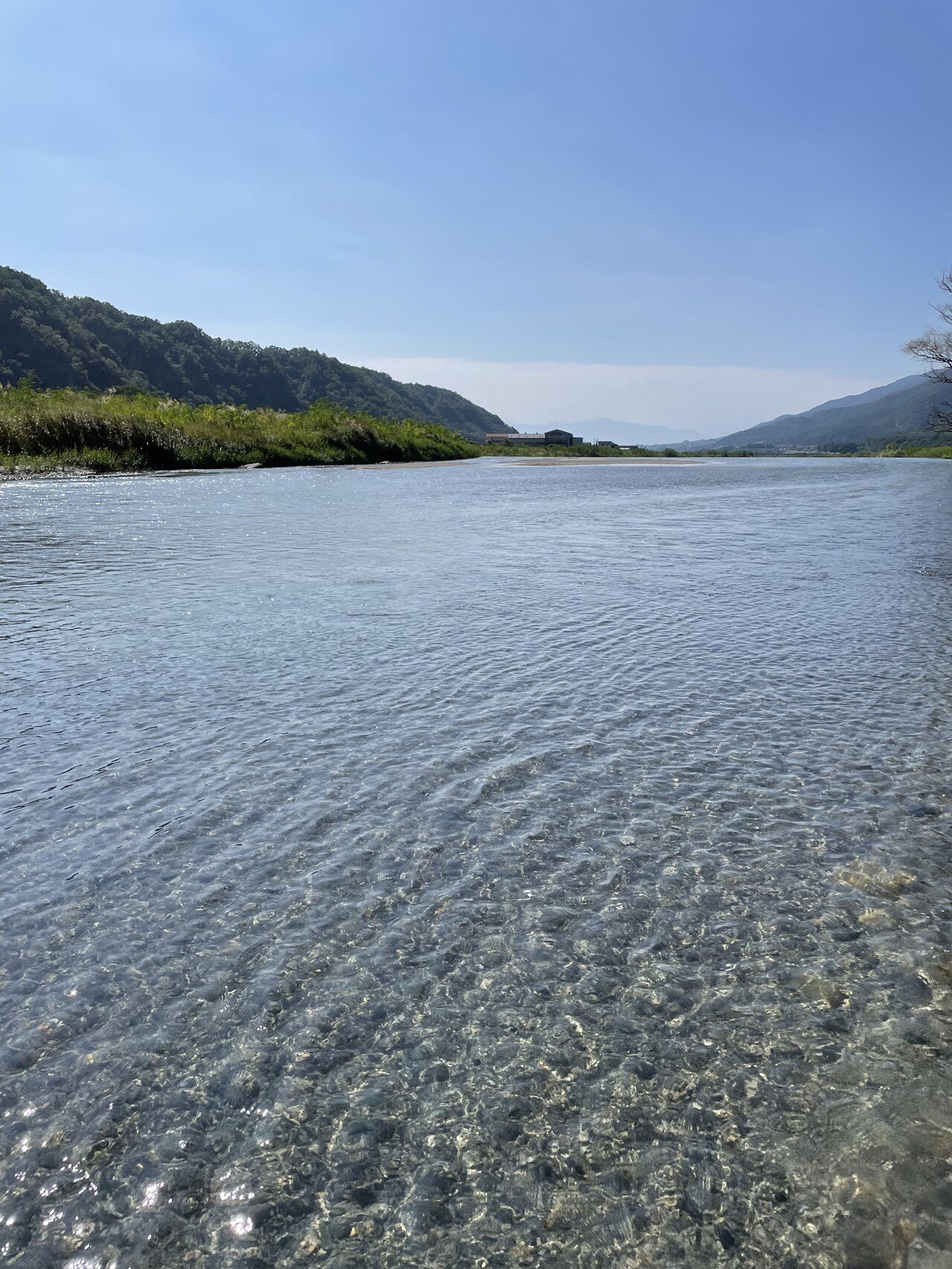 山梨のオススメスポット 週末は 牛頭島公園へメダカを採りに行ってます 山梨移住計画 Note