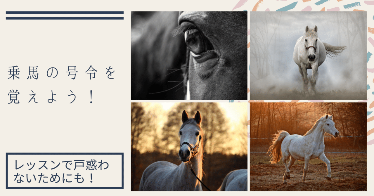 激安/新作 乗馬の号令を覚えよう！｜うまのこと 和書