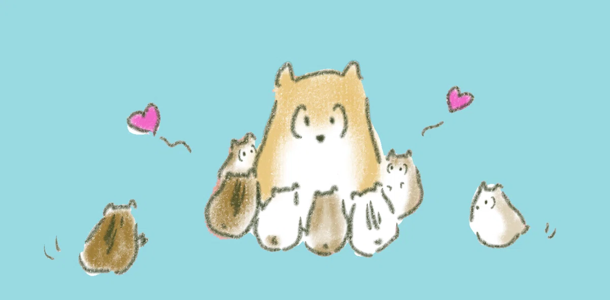 画像6