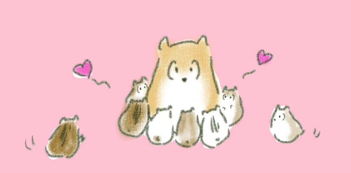 画像24