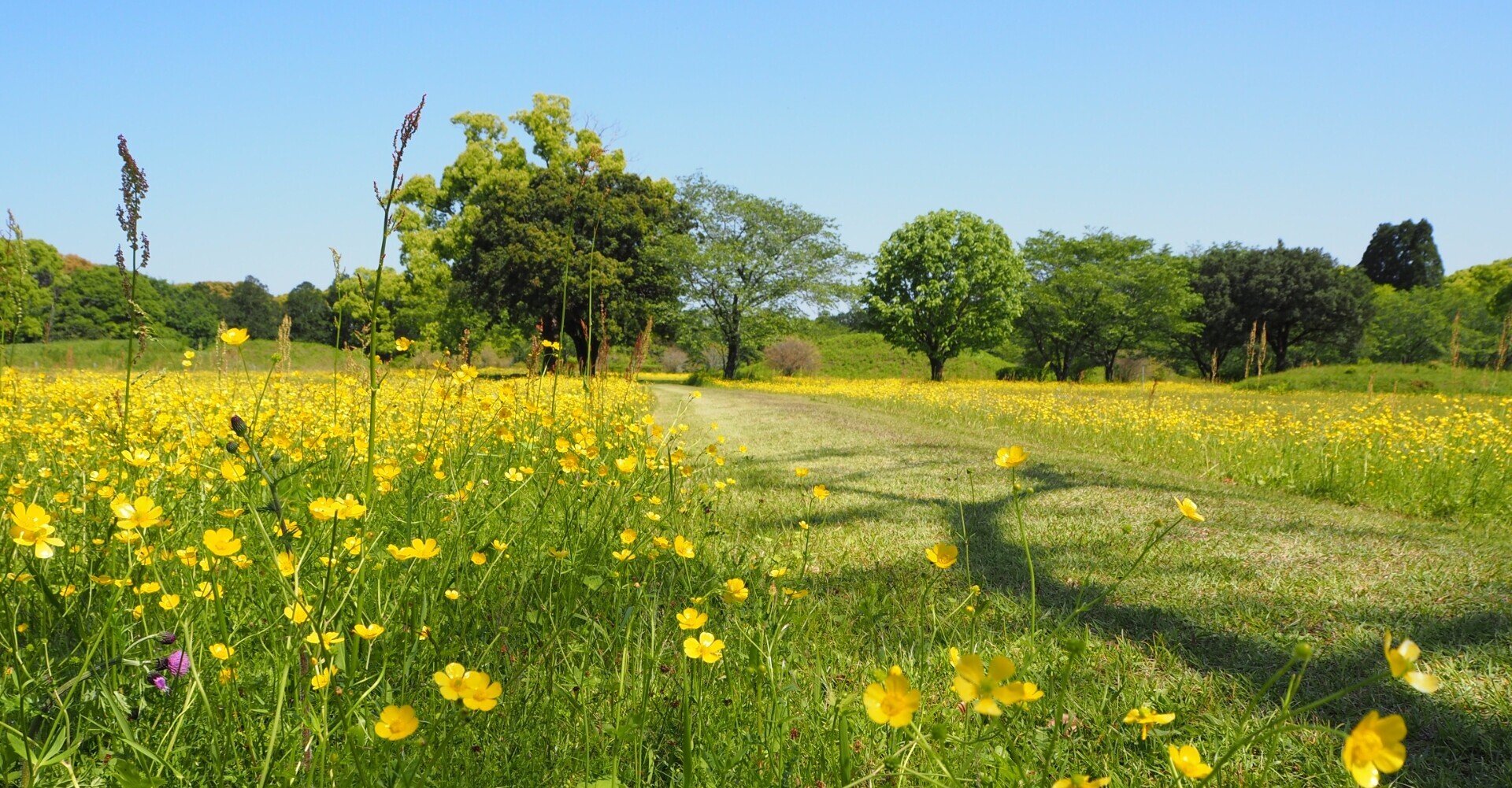 三途の川って きっとこんなお花畑の先にある Tlovel Mini Note