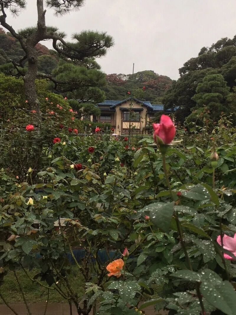 画像10