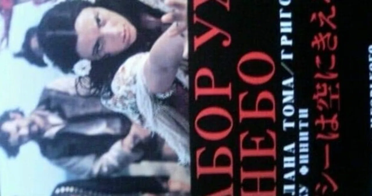 DVD ジプシーは空にきえる('76ソ連)
