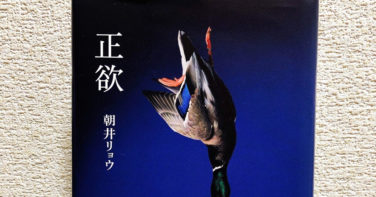 寂しさが飽和する 逃げ場のない世界ー正欲 朝井リョウ Reina Note 寂しさが飽和する 逃げ場のない世界ー正欲 朝井リョウ Reina Note