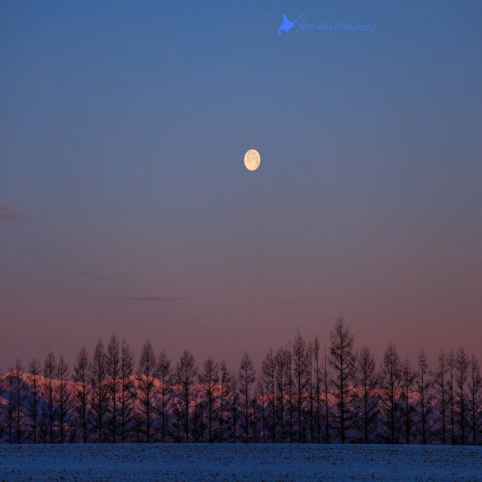 冬の森の日の出 2K 壁紙のダウンロード, image size:1280x960