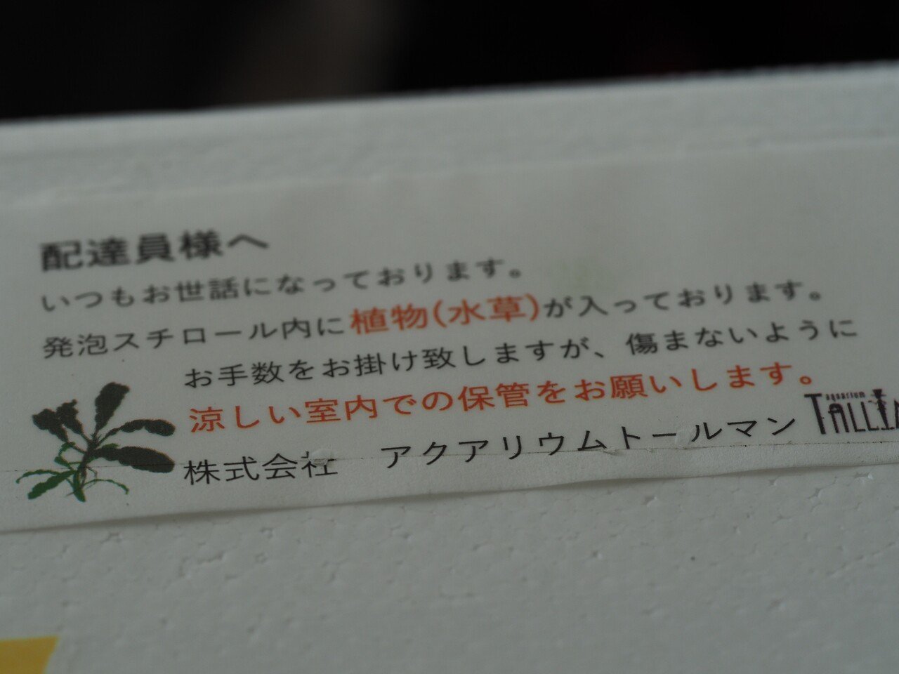 水草ガチャを引く わくわくどきどき ブセファランドラ 七谷くと Note 水草ガチャを引く わくわくどきどき ブセファランドラ 七谷くと Note