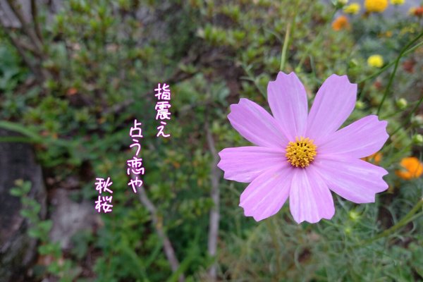 俳句と写真 の新着タグ記事一覧 Note つくる つながる とどける 俳句と写真 の新着タグ記事一覧 Note つくる つながる とどける