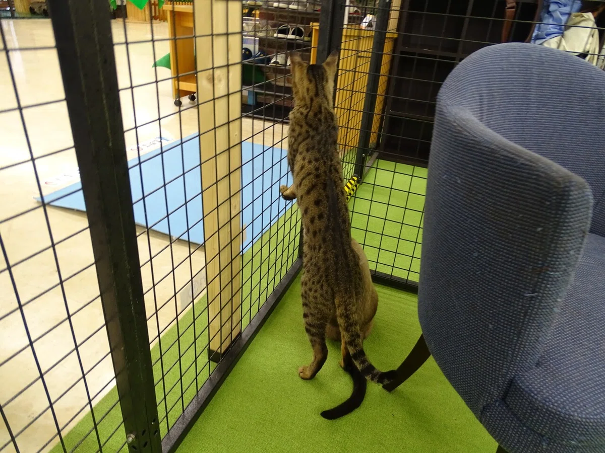 画像46