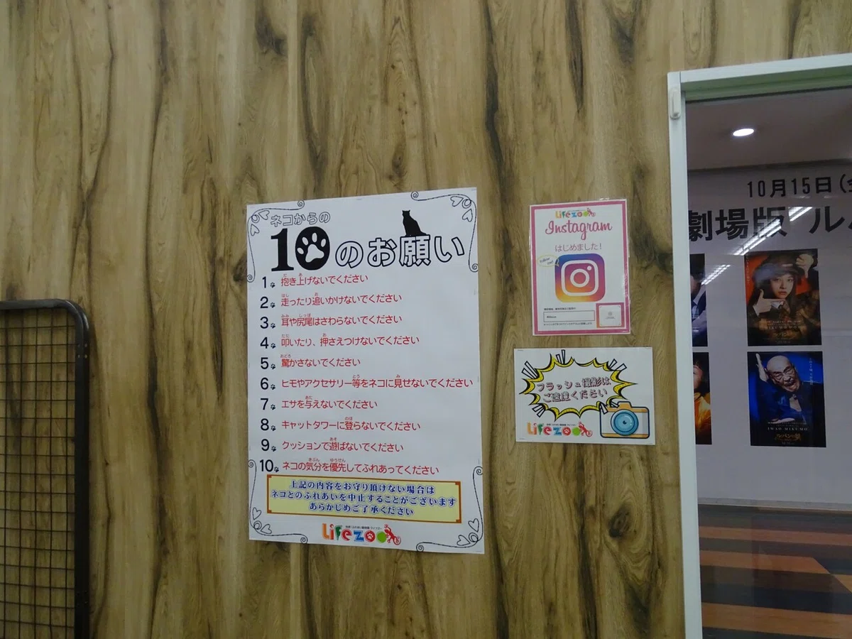 画像56