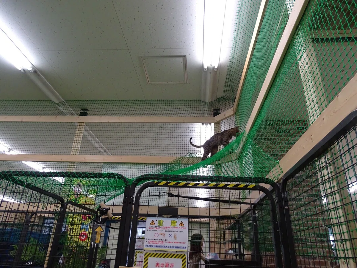 画像55