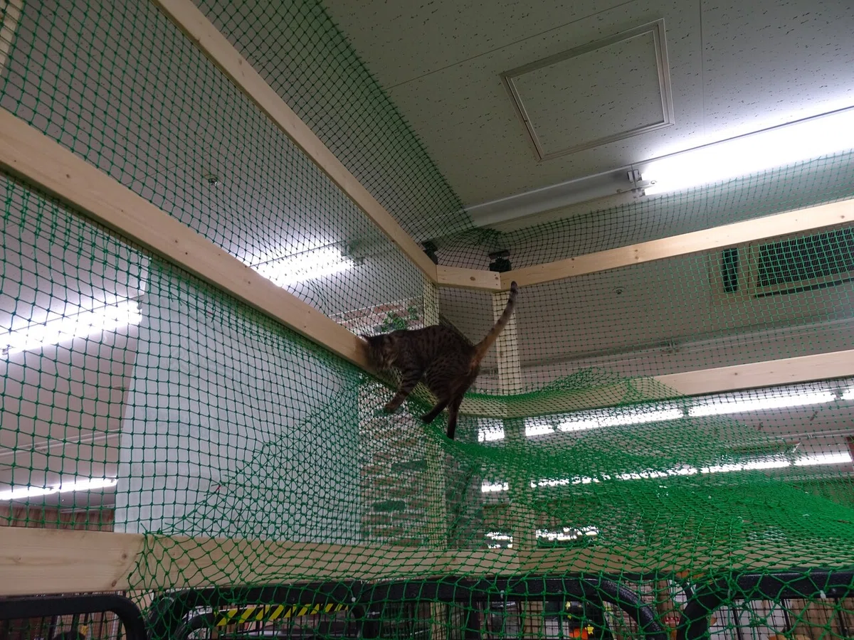 画像51