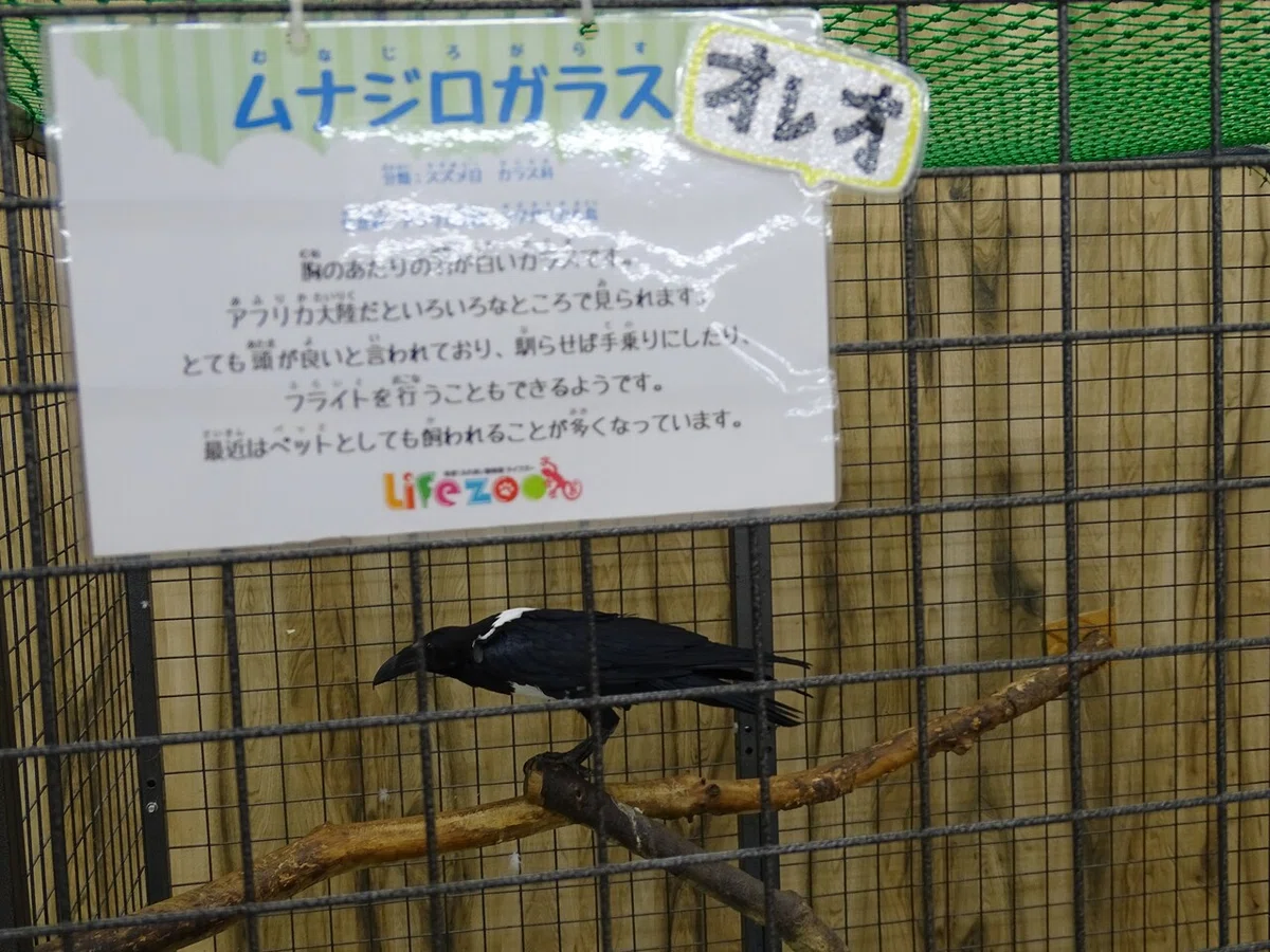 画像59