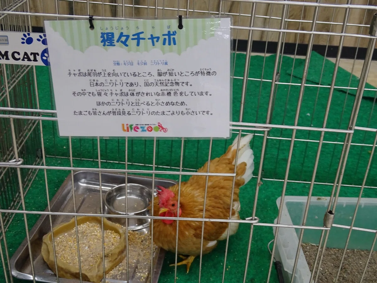 画像58