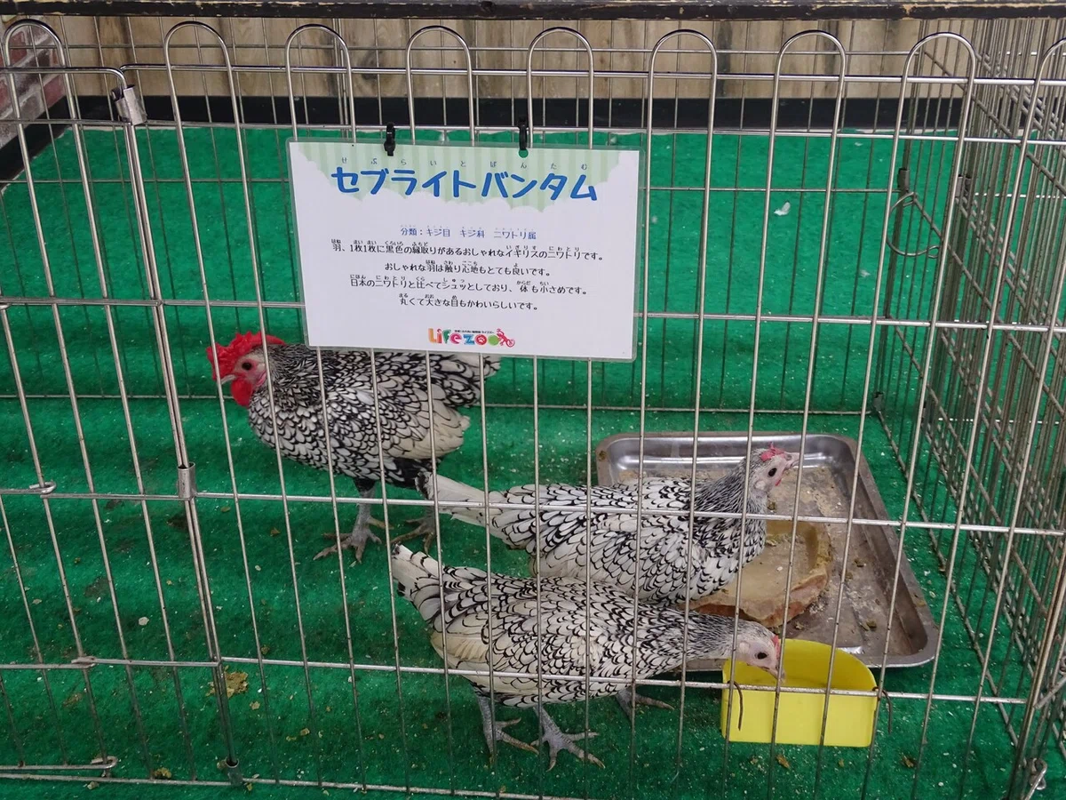 画像57
