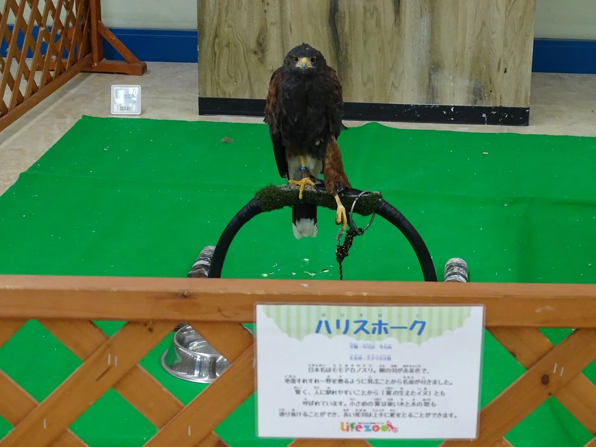 画像70