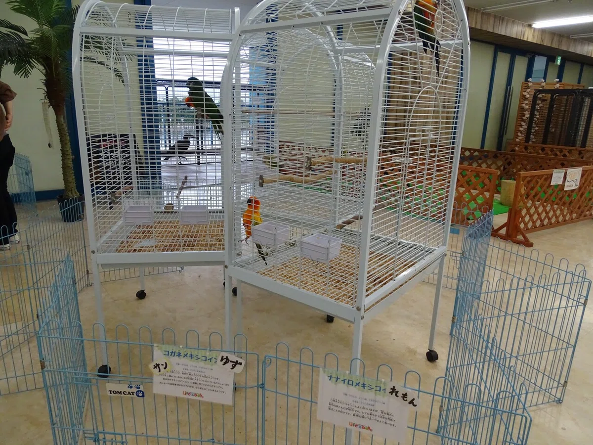画像73
