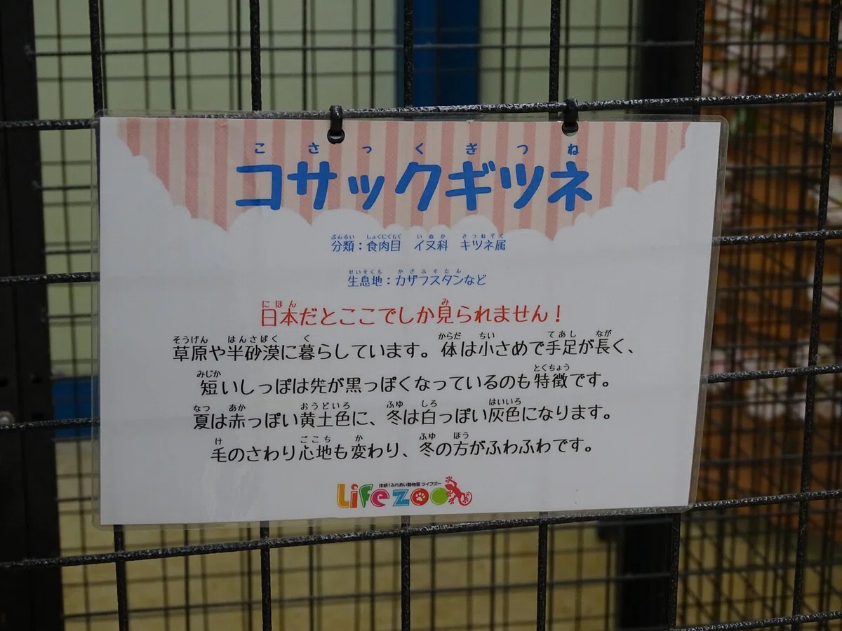 画像89