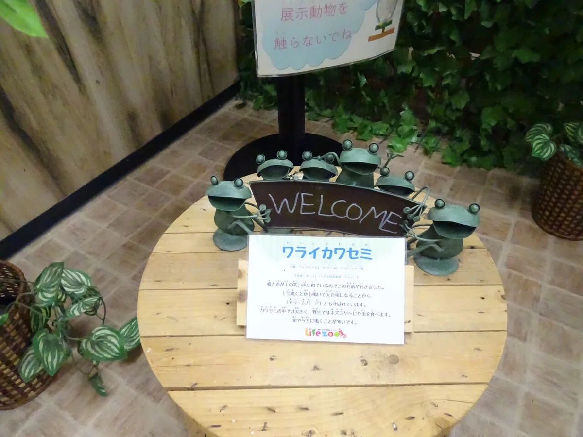 画像104
