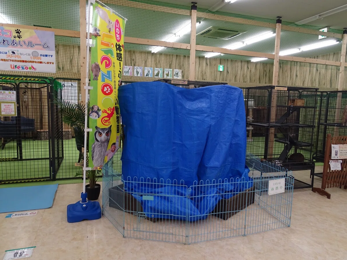 画像112