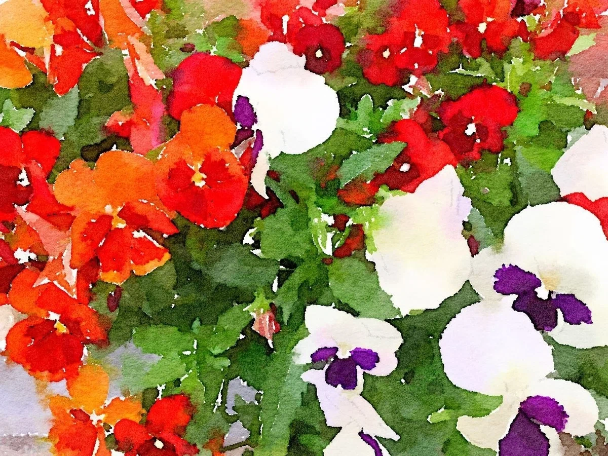 画像