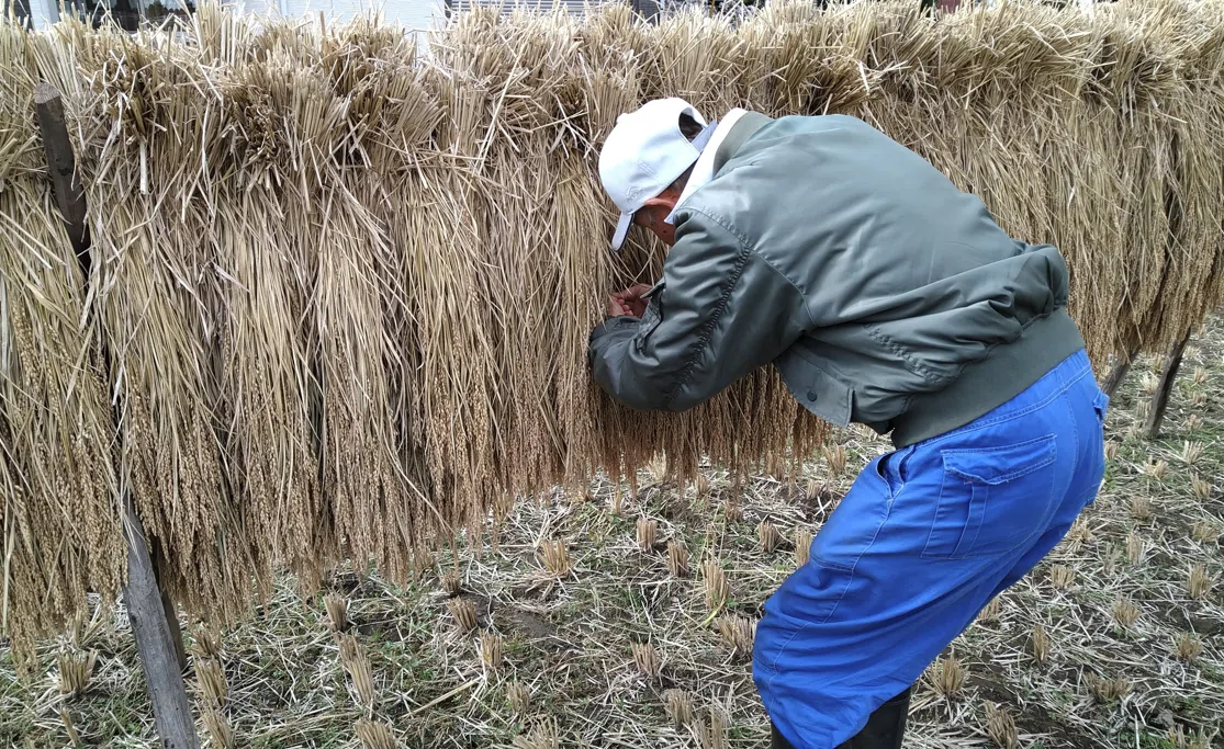 画像11