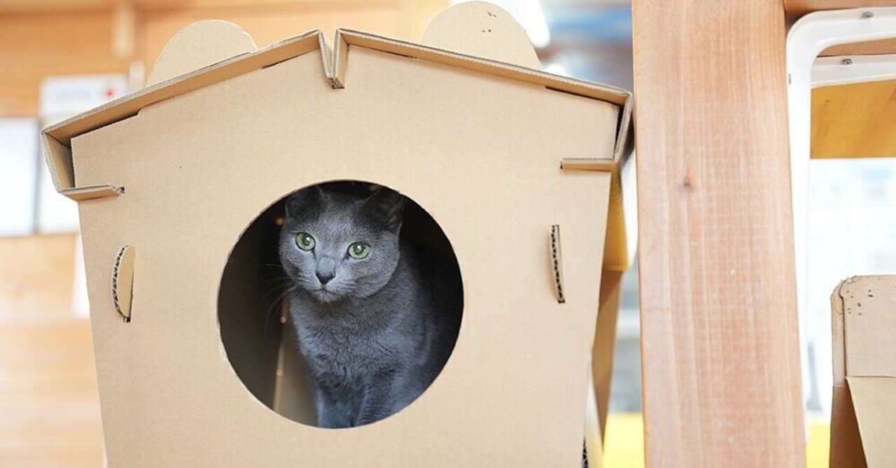 ダンボール ネコハウス「Necotti(ネコッチ)」販売中｜note