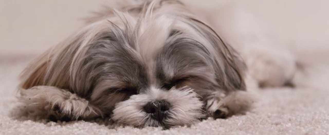 28日間続けるだけ ニキビ 毛穴 肌のくすみと無縁に ヴァセリン ワセリン で手に入れる美肌法 メリー双子 Note