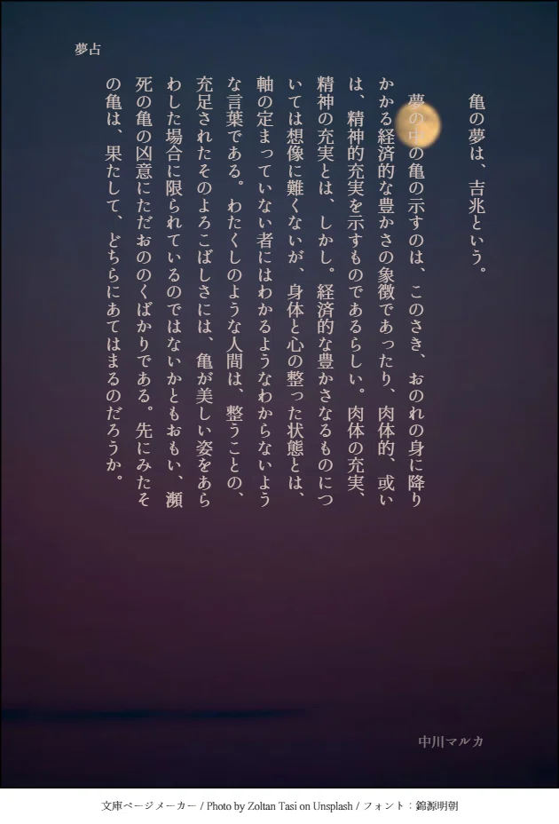 画像299