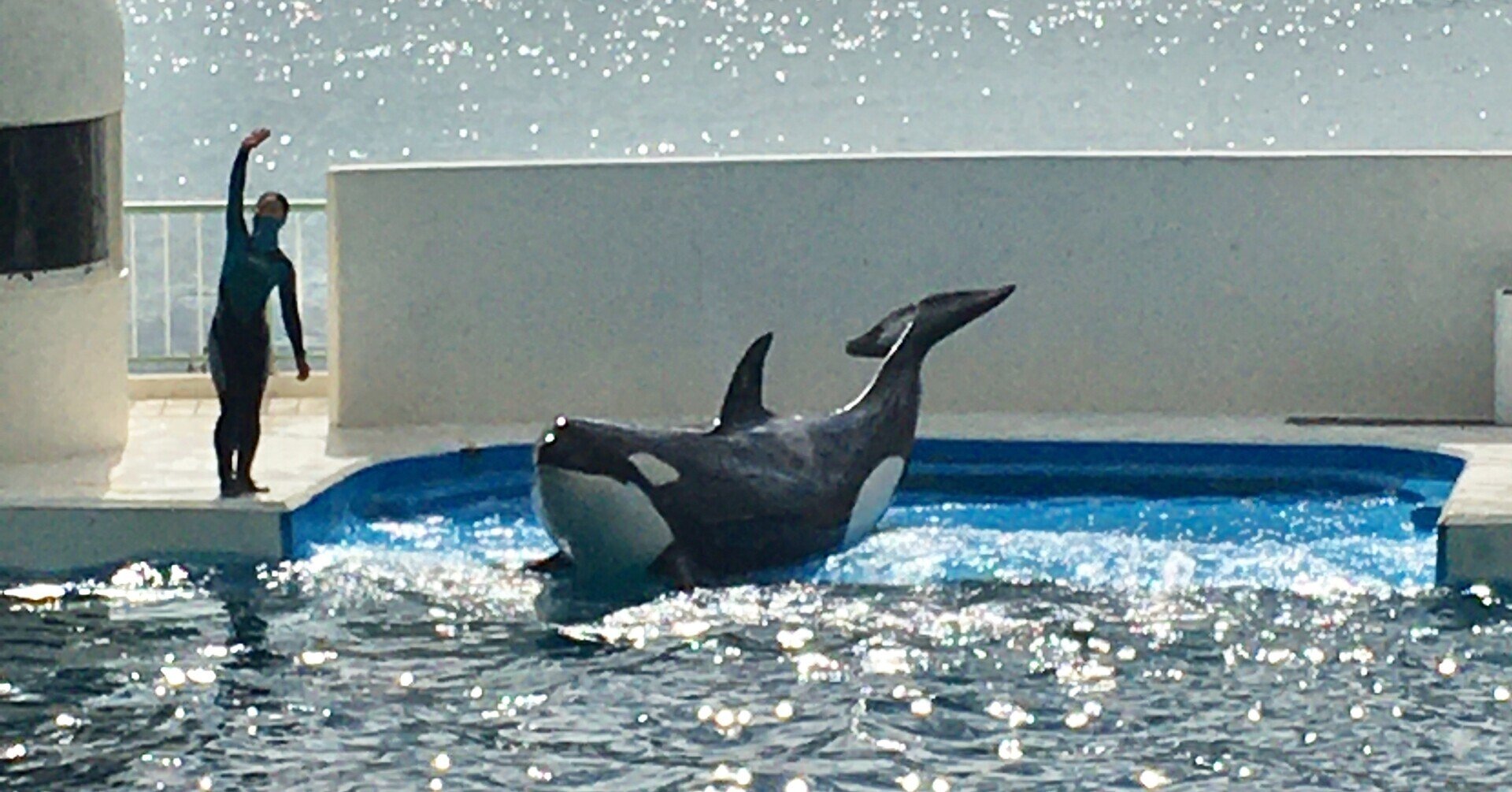 日記 鴨シー楽しすぎワロタ 水井軒間 Note 日記 鴨シー楽しすぎワロタ 水井軒間 Note