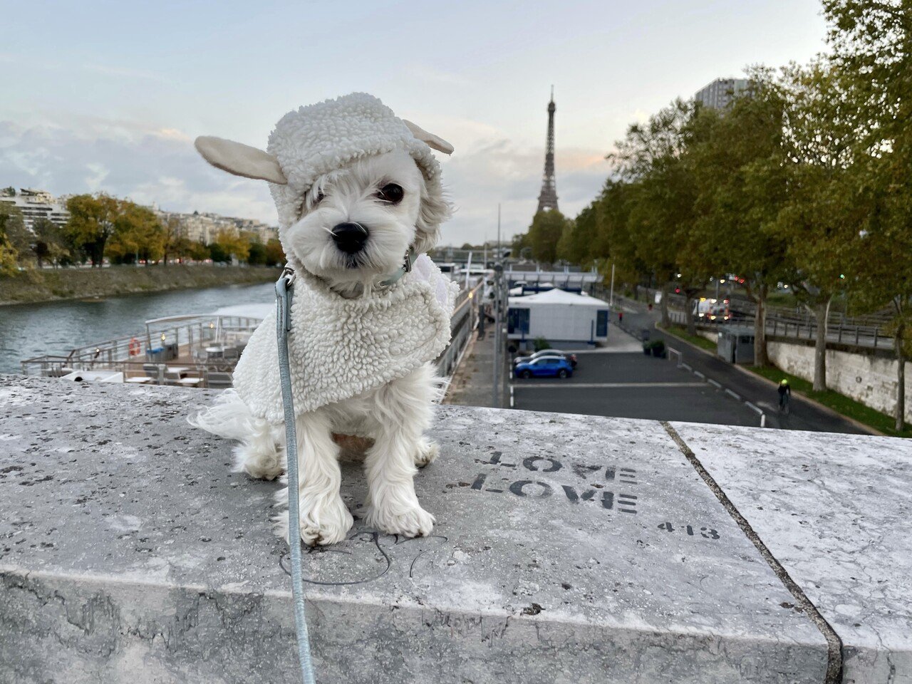 こんがり系 じゃがりこサラダ味 ユイじょり Note こんがり系 じゃがりこサラダ味 ユイじょり Note
