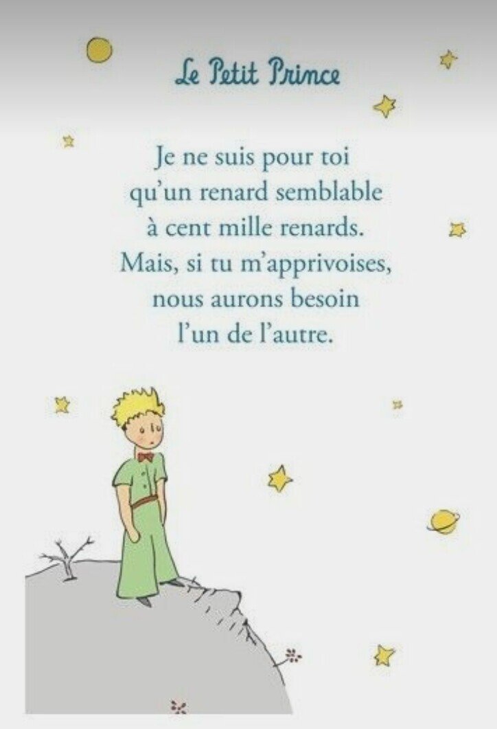 星の王子さま Le Petit Prince Naomi Note