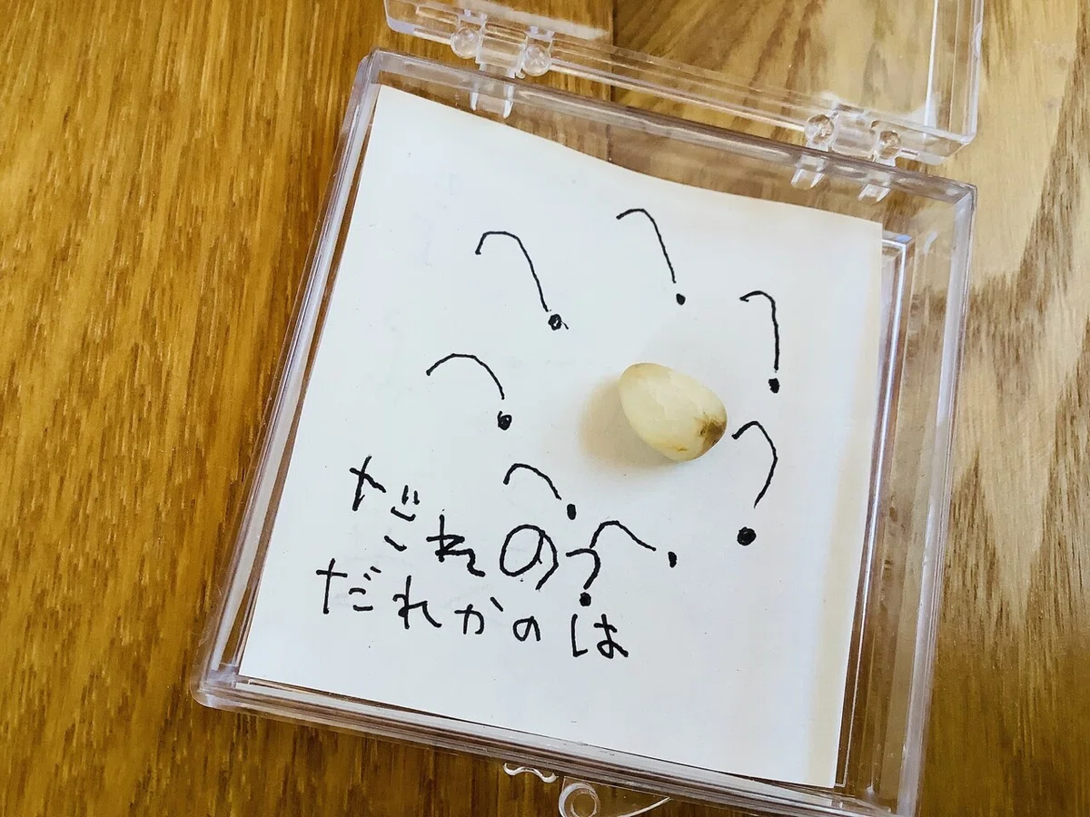 画像1