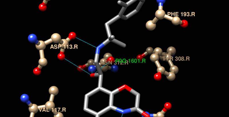 書記のBio/Chem-Info日誌#16 UCSF Chimeraでリガンド結合部位を観察する