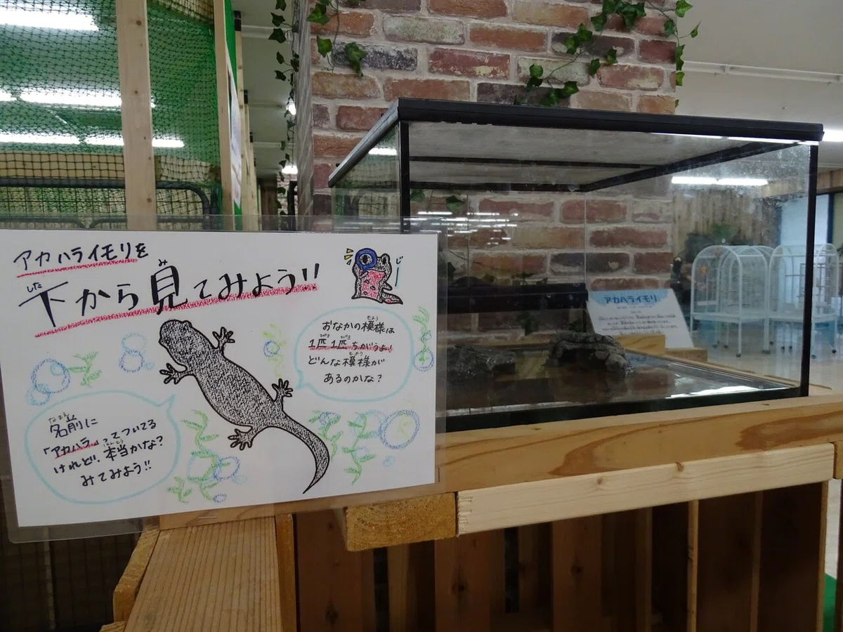 画像115