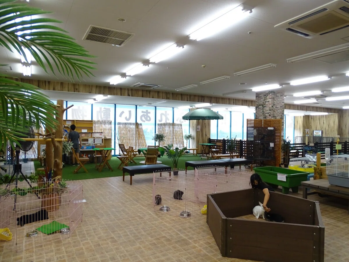 画像119