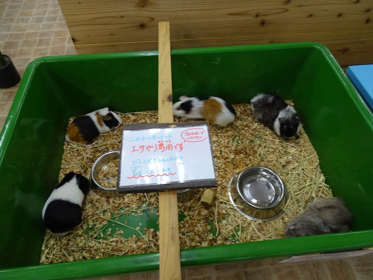 画像130
