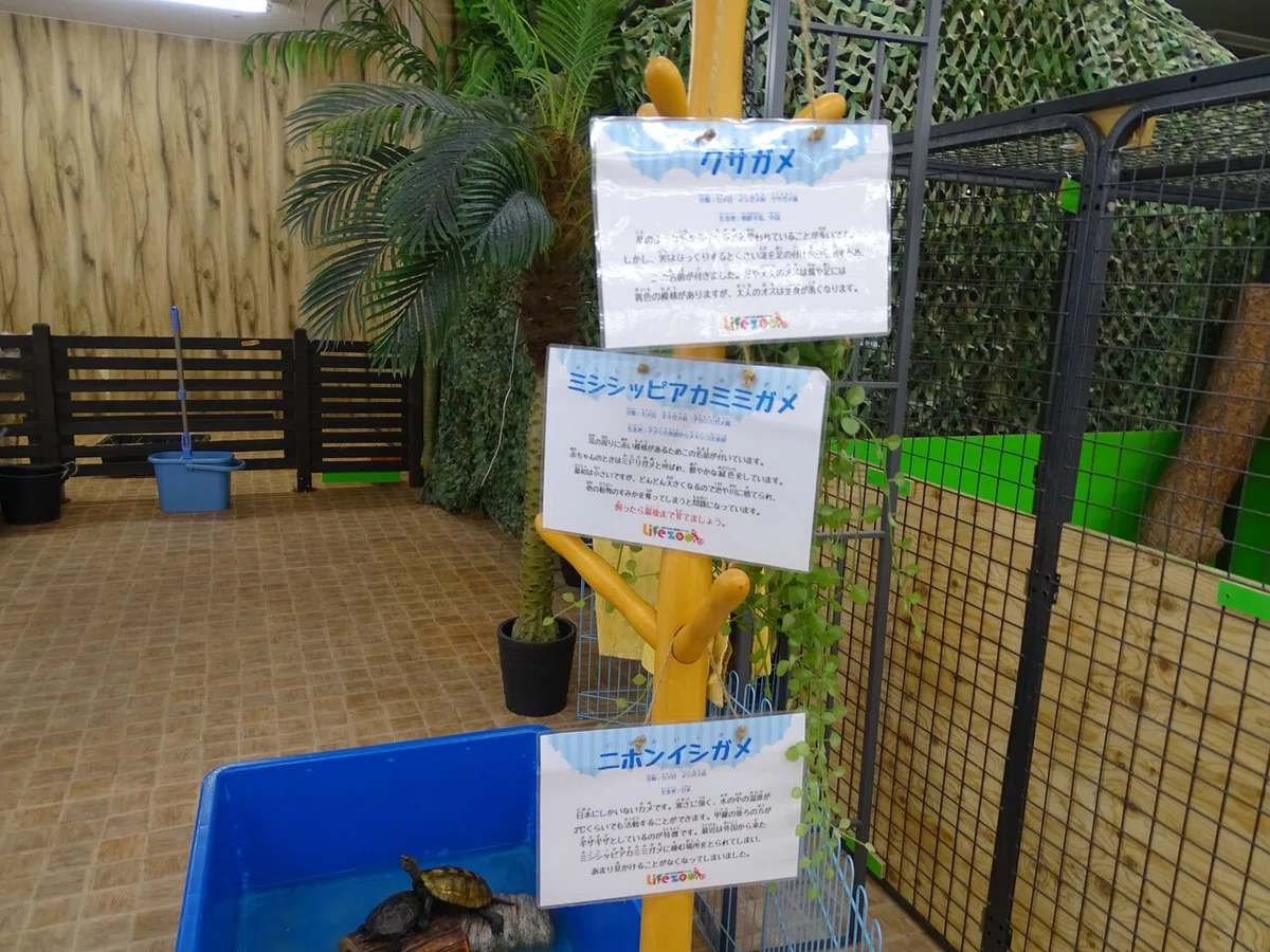 画像139
